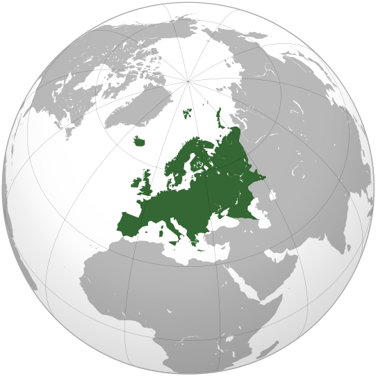 KONKURS „MUZYKA ŁACZY EUROPĘ” W STRZEGOMIU