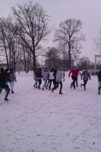 IMAG1353