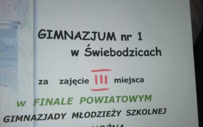 III miejsce w powiecie naszych piłkarzy nożnych!